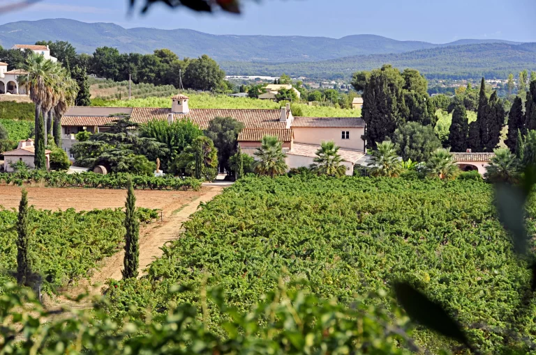 Bodega de vinos (Clos de Cibonne) Premier Cru clasificado en Provenza.