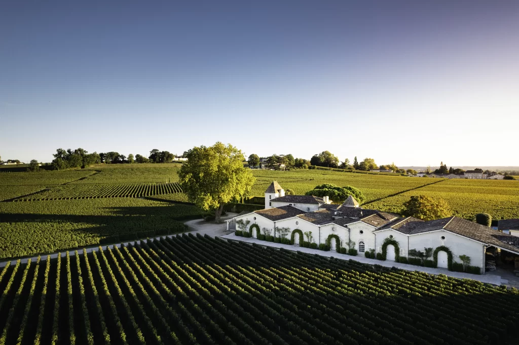 Vinedos de la bodega de Burdeos, Clos Des Jacobins