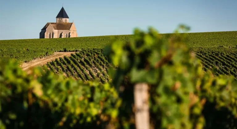 Chablis - que es y sus características
