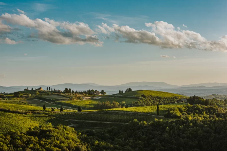 Viñedo en Chianti Classico Italia - Castello di Monsanto. Compra il poggio en méxico